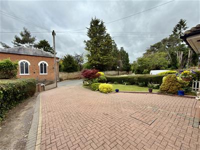 Picture 23